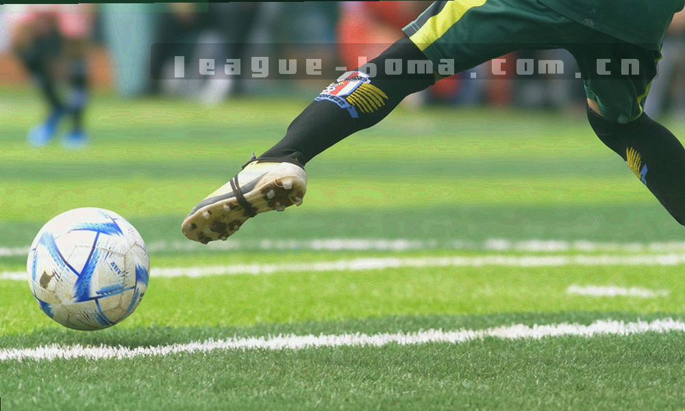 等距排列的细线与编号柱状结构抽象图，其中一段以荧光青高亮
